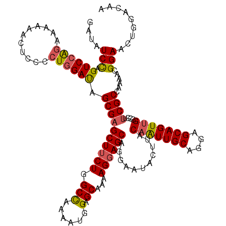 secondary structure
