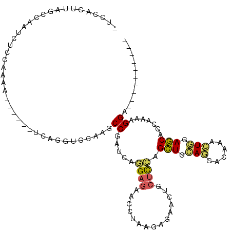 secondary structure