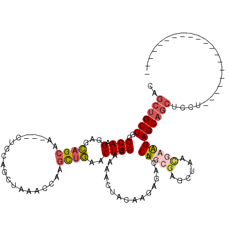 secondary structure