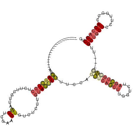 secondary structure