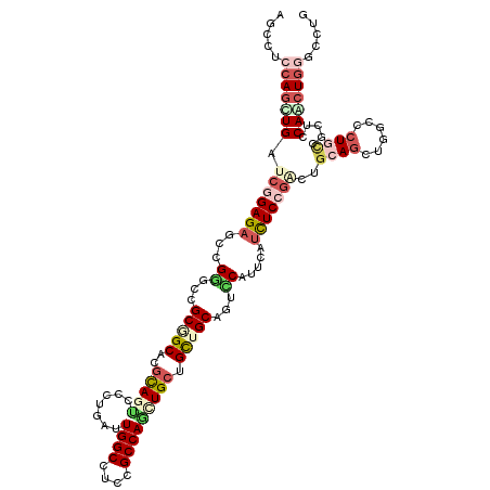 secondary structure