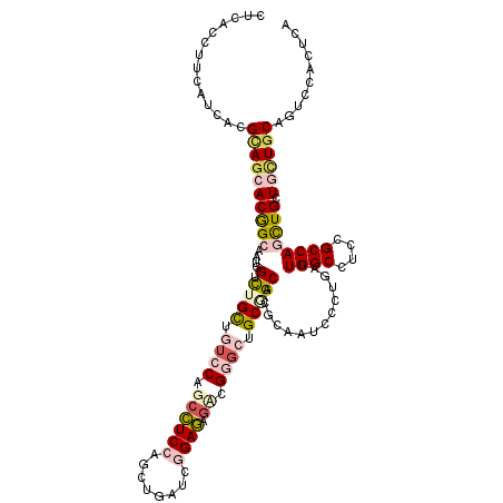 secondary structure