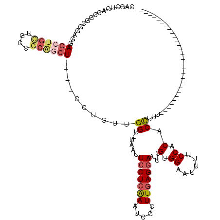 secondary structure
