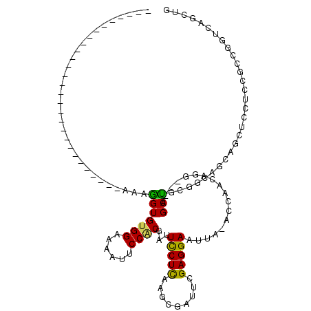 secondary structure