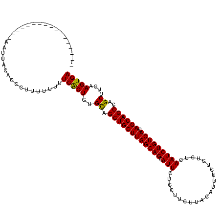 secondary structure