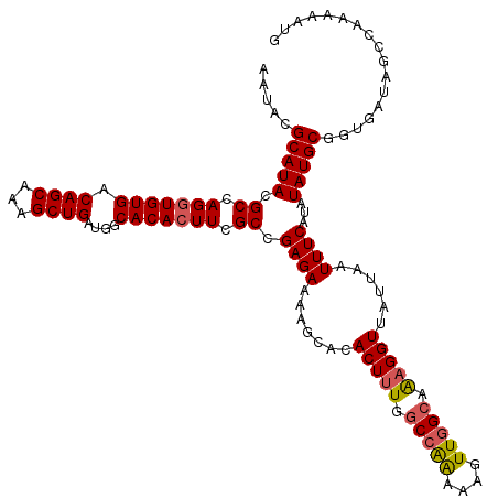 secondary structure