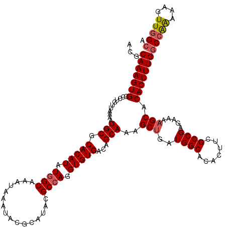 secondary structure