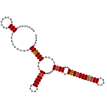 secondary structure