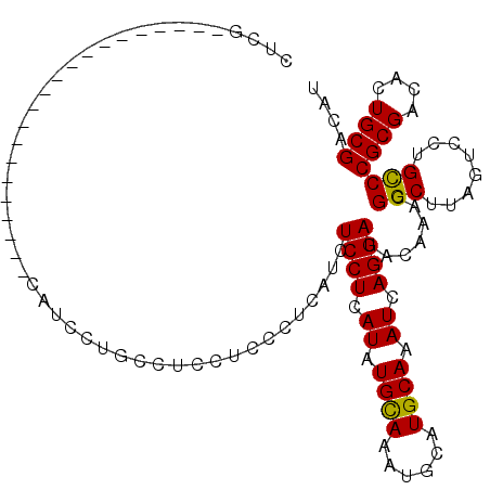 secondary structure