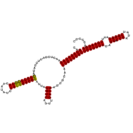 secondary structure