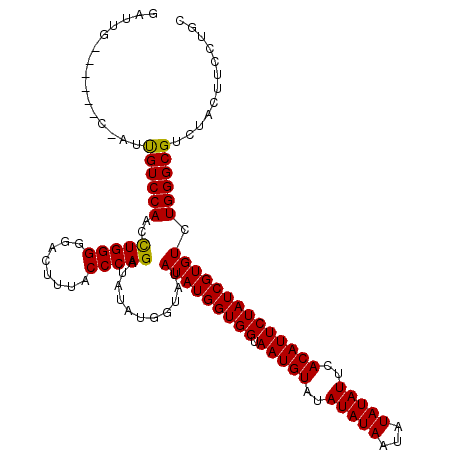 secondary structure