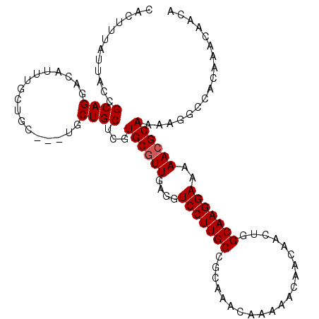 secondary structure