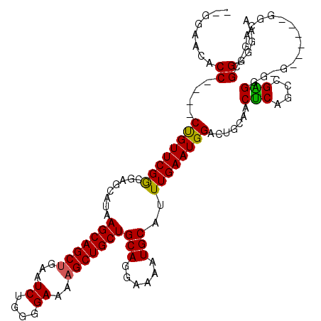 secondary structure