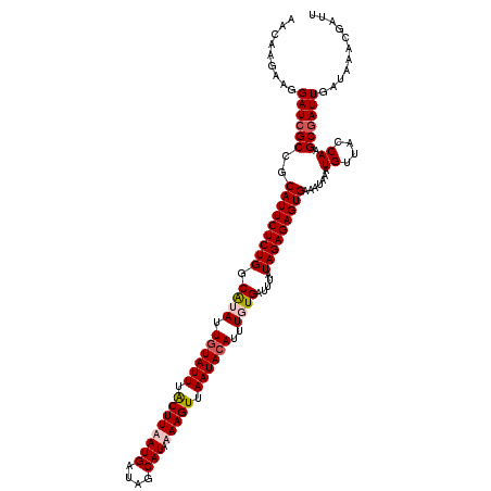 secondary structure