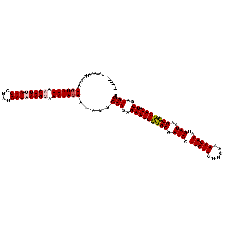 secondary structure