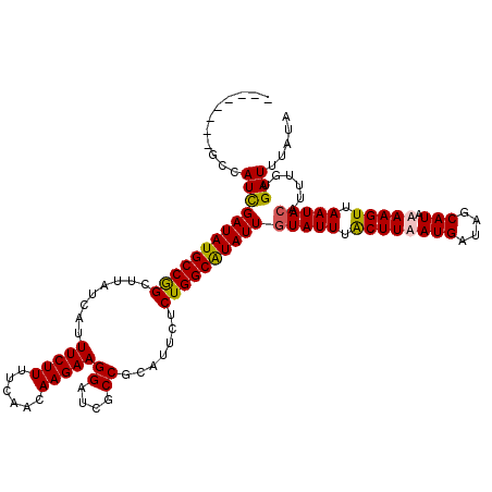 secondary structure