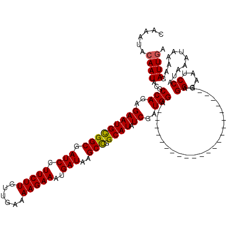 secondary structure