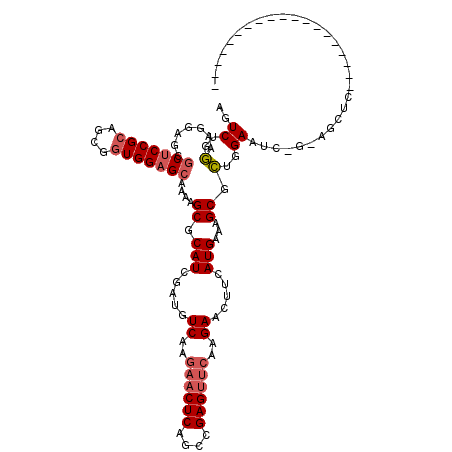 secondary structure