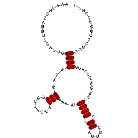 secondary structure