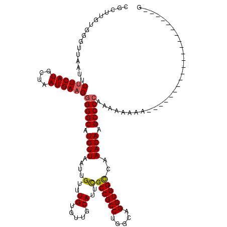 secondary structure