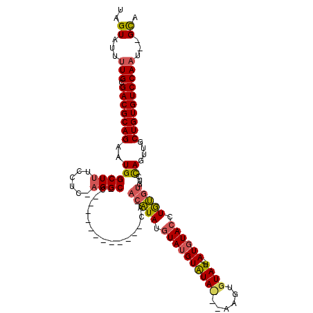 secondary structure