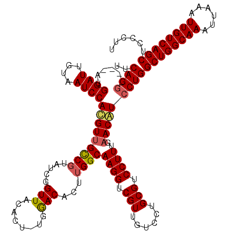 secondary structure