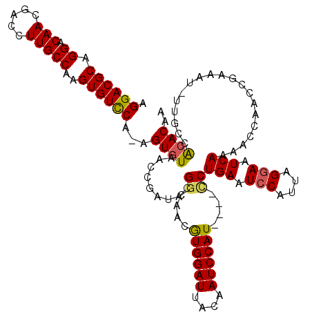 secondary structure