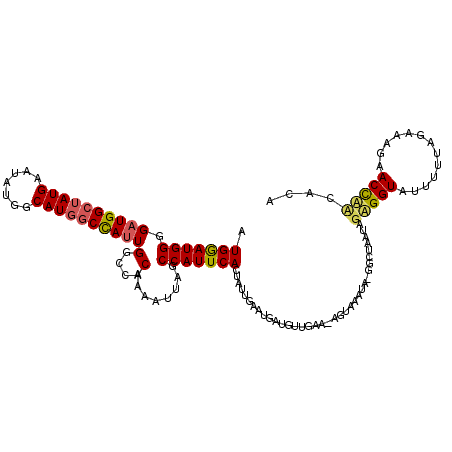 secondary structure