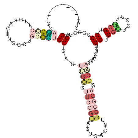 secondary structure