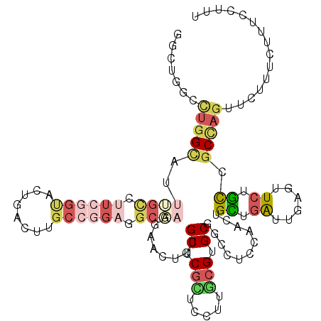 secondary structure