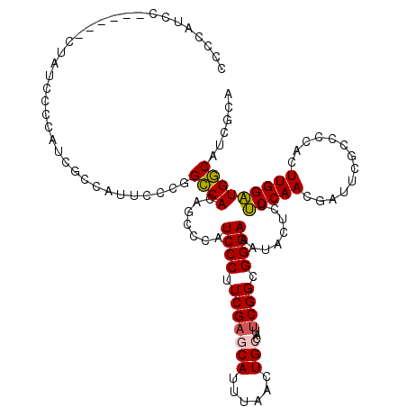 secondary structure