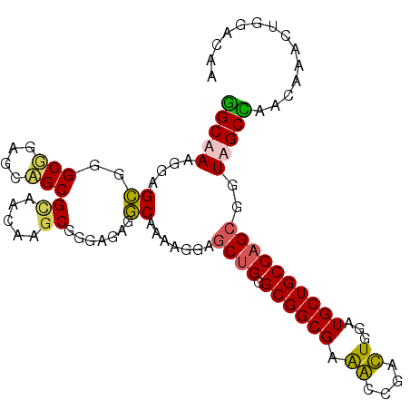 secondary structure