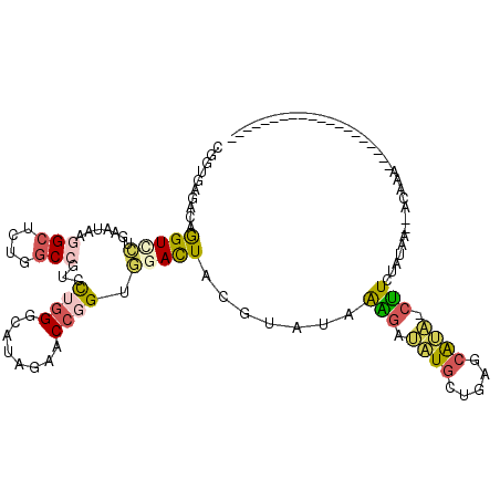 secondary structure