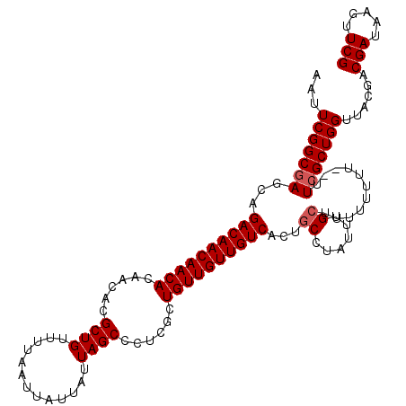secondary structure