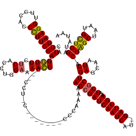 secondary structure