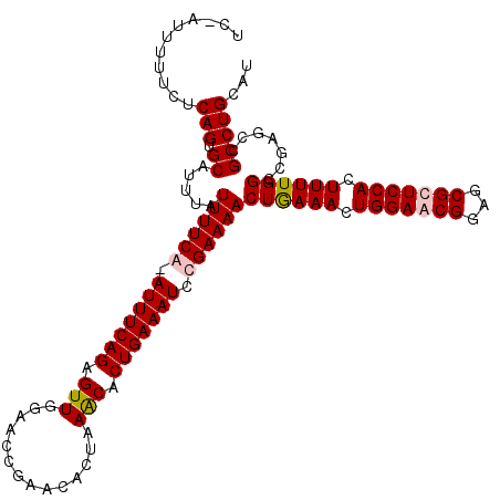 secondary structure