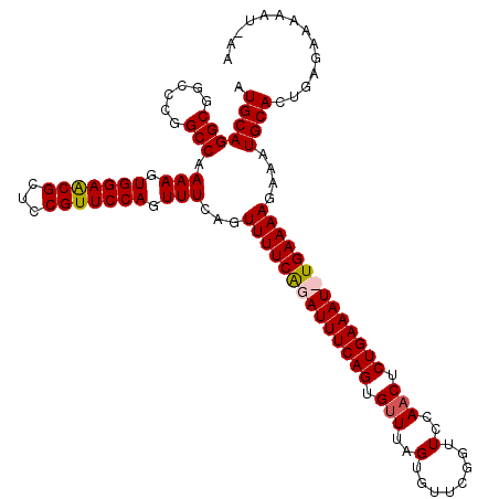 secondary structure