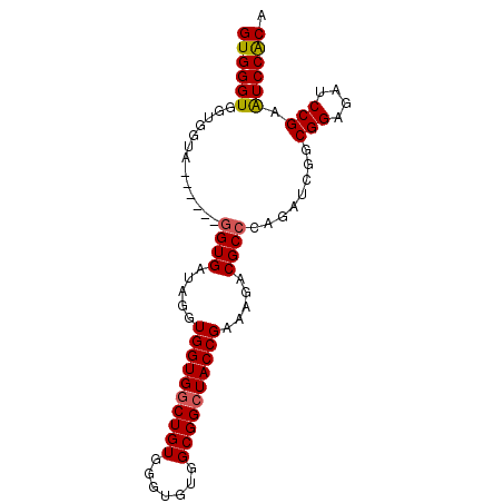 secondary structure