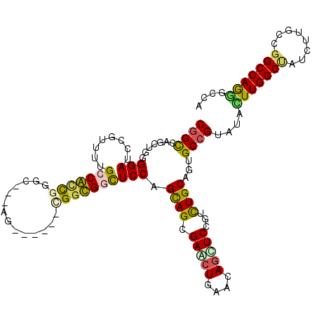 secondary structure