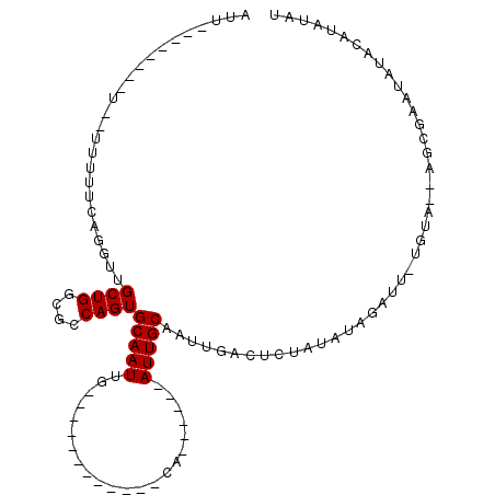secondary structure
