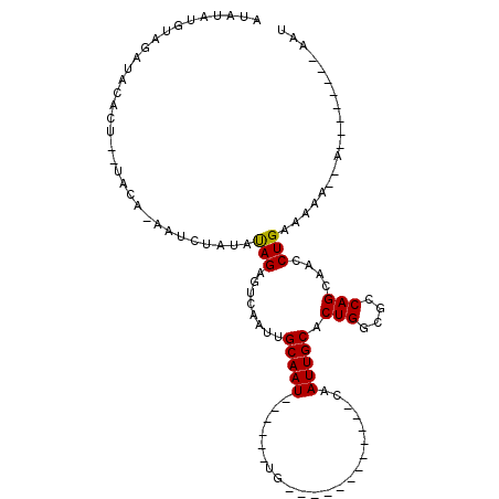 secondary structure