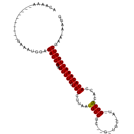 secondary structure