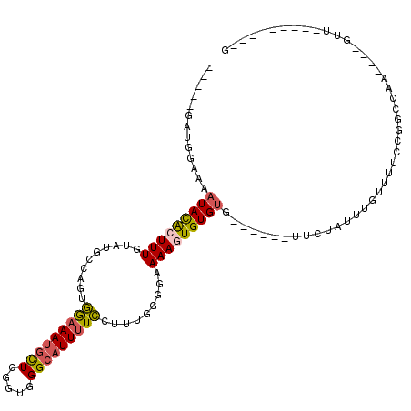 secondary structure