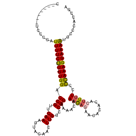 secondary structure