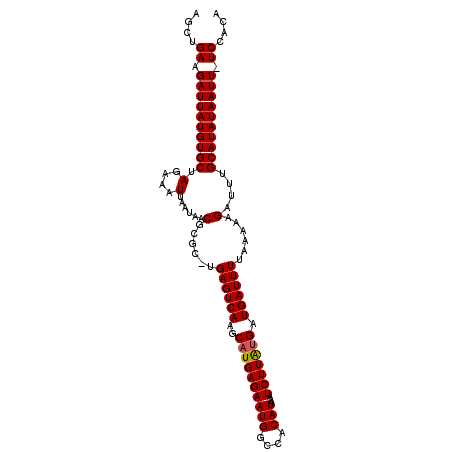 secondary structure
