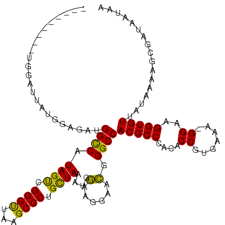secondary structure