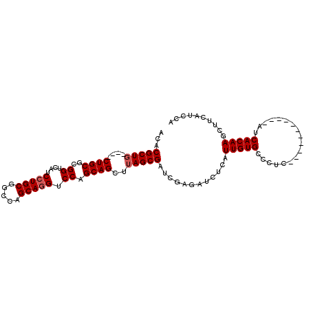 secondary structure