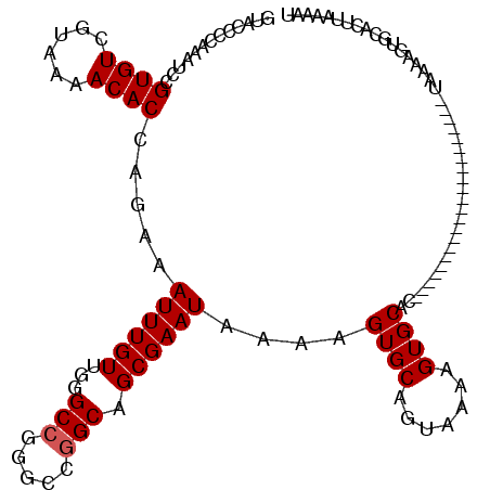 secondary structure
