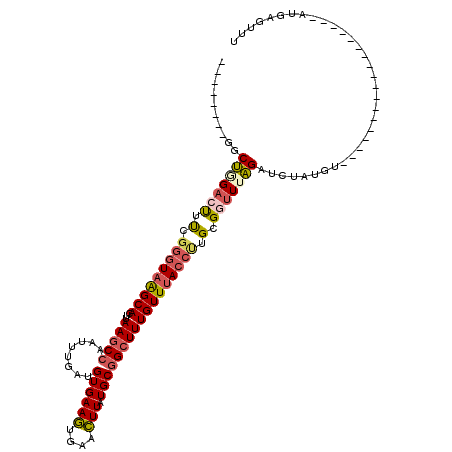 secondary structure