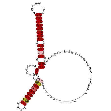 secondary structure